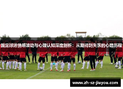 国足球迷情感波动与心理认知深度剖析：从期待到失落的心路历程