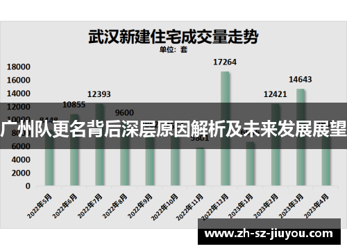 广州队更名背后深层原因解析及未来发展展望