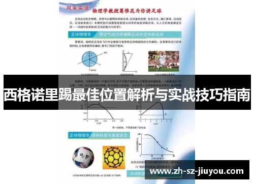 西格诺里踢最佳位置解析与实战技巧指南 西格诺里踢最佳位置解析与实战技巧指南
