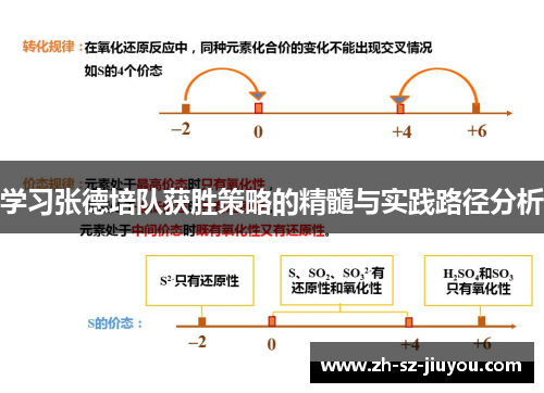 学习张德培队获胜策略的精髓与实践路径分析 学习张德培队获胜策略的精髓与实践路径分析