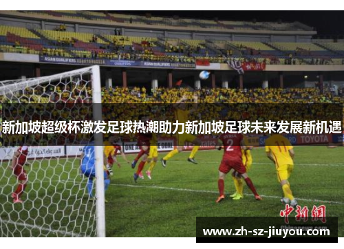新加坡超级杯激发足球热潮助力新加坡足球未来发展新机遇