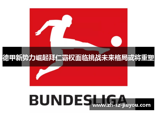 德甲新势力崛起拜仁霸权面临挑战未来格局或将重塑 德甲新势力崛起拜仁霸权面临挑战未来格局或将重塑