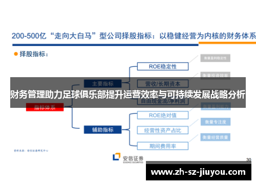 财务管理助力足球俱乐部提升运营效率与可持续发展战略分析 财务管理助力足球俱乐部提升运营效率与可持续发展战略分析